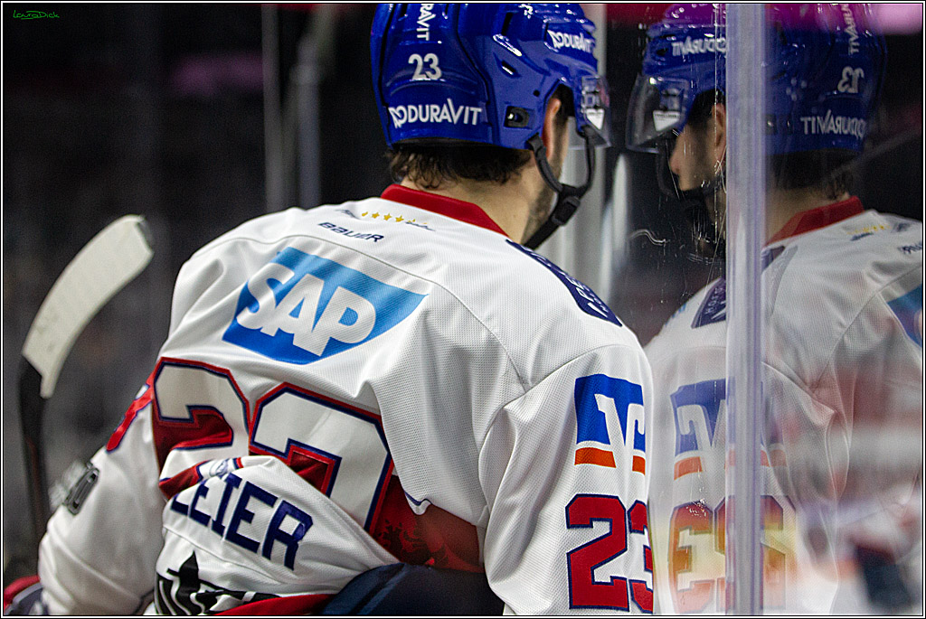 PENNY DEL;  Koelner Haie - Adler Mannheim; Koeln, 08.04.2021